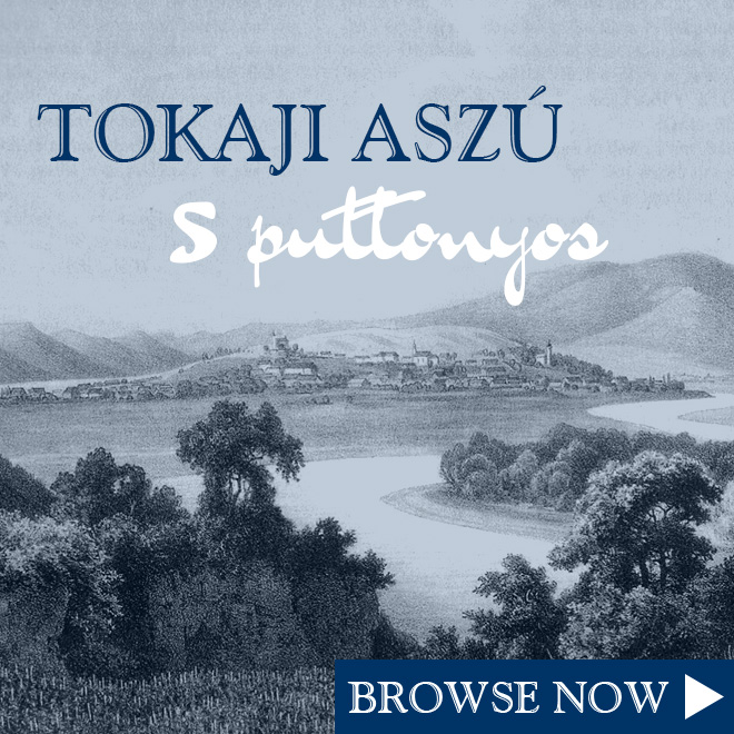 Keine Abbildung zugeordnet 